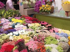-双季花艺园艺市场(浦东店)