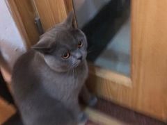 -壹人壹像工作室(购物公园店)