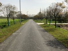 -上海长兴岛郊野公园