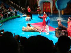 -烟台海昌鲸鲨海洋公园