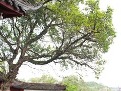 -中国观音故里广德景区