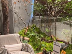 -森SPA·泰式按摩·精油Massage(宝安中心店)