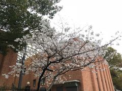 -叶家花园