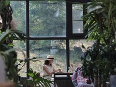 -北马山庄植趣咖啡