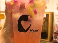 玫瑰接骨木喵汽泡-喵匠猫主题咖啡(凯德和平广场店)