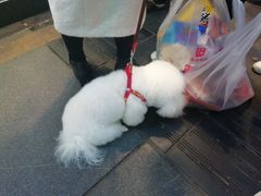 -小王少龙火锅(沙南街店)