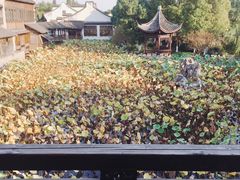 -乌镇望津里精品酒店