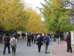 -辽宁大学(崇山校区)