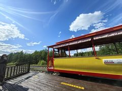 -莫尔道嘎国家森林公园