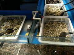 -星伦多自助料理·涮烤一体(虹悦城店)