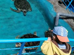 -泉城欧乐堡海洋极地世界