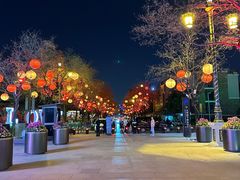 -大唐不夜城