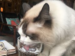 -咖法森林·咖啡  酒吧(天河店)