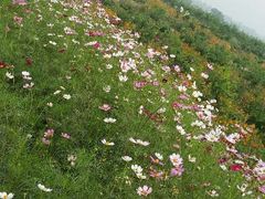 android_upload_pic-十三陵水库