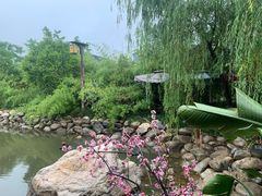 -茯茶镇