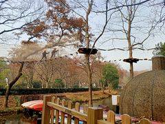 -WeLope紫金山探险公园