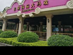 -广州长隆国际大马戏