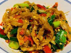 鸭掌筋-壹盏灯(惠农店)