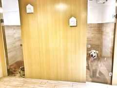 -Double Rui宠物酒店