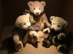 -济州岛泰迪熊博物馆