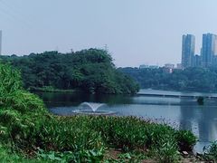 -重庆彩云湖湿地公园