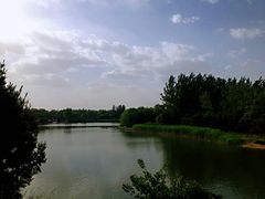 -大兴滨河森林公园