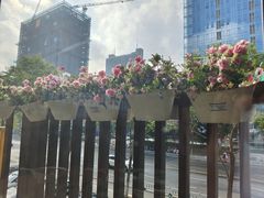 -花悦豆香