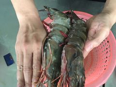 -亚龙湾8号(丁村万人海鲜广场店)