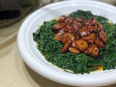 -森谷美食公园(杨行店)