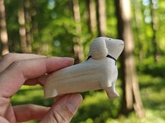 -黄海国家森林公园