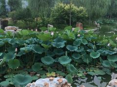 -北京国家会计学院