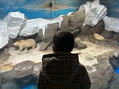 -海合安武汉极地海洋公园