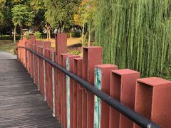-南翔镇银翔湖公园