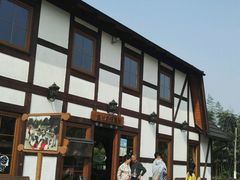 -金山农民画村-枫泾波兰倒置屋