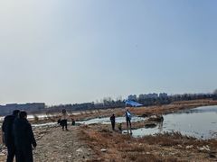 -绿堤公园