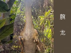 -呀路古热带植物园