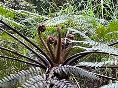 -赤水丹霞旅游区·佛光岩