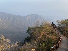 -大岭沟猕猴桃谷风景区