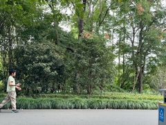 -昆山城市生态森林公园