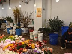 -双季花艺园艺市场(浦东店)