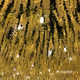 葛仙村度假村：过几天神仙的日子