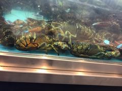 -盒马鲜生(宝地店)