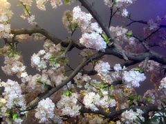 -北京花见餐饮管理有限公司