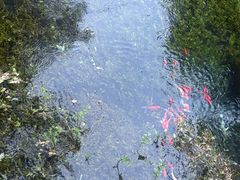 -水磨沟公园