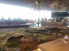 -Seesaw Coffee(朝阳大悦城店)