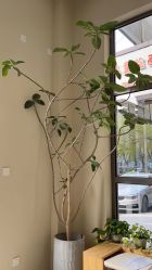 -摩睫+皮肤管理·科学美容中心