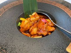 -梧桐