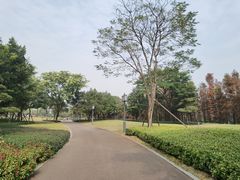 -顺峰山公园