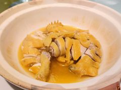 客家清炖鸡-福仙来酒家(东峻广场店)
