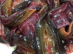 现划鳝鱼-储奇门鳝鱼火锅(总店)